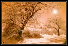 O - Morbida e Calda Neve